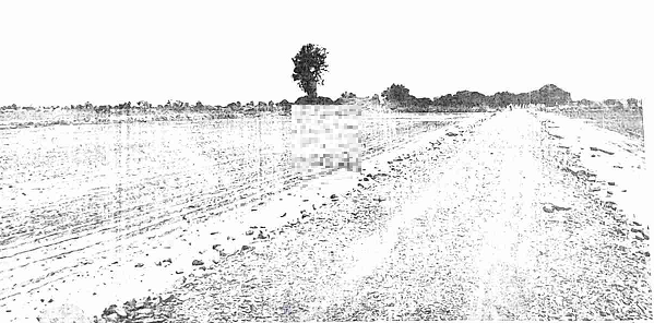 course